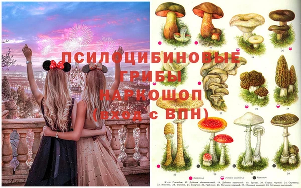 кокаин перу Вяземский