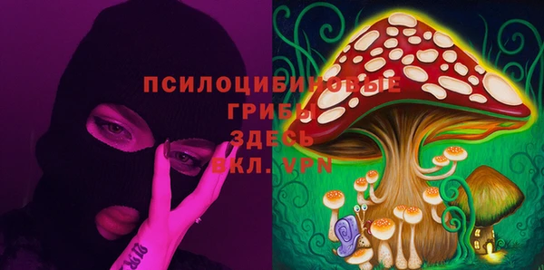 дмт Вязники