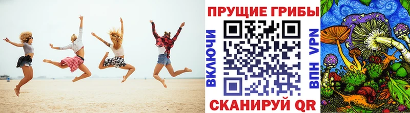Купить закладки  Нурлат  Галлюциногенные грибы Psilocybine cubensis 